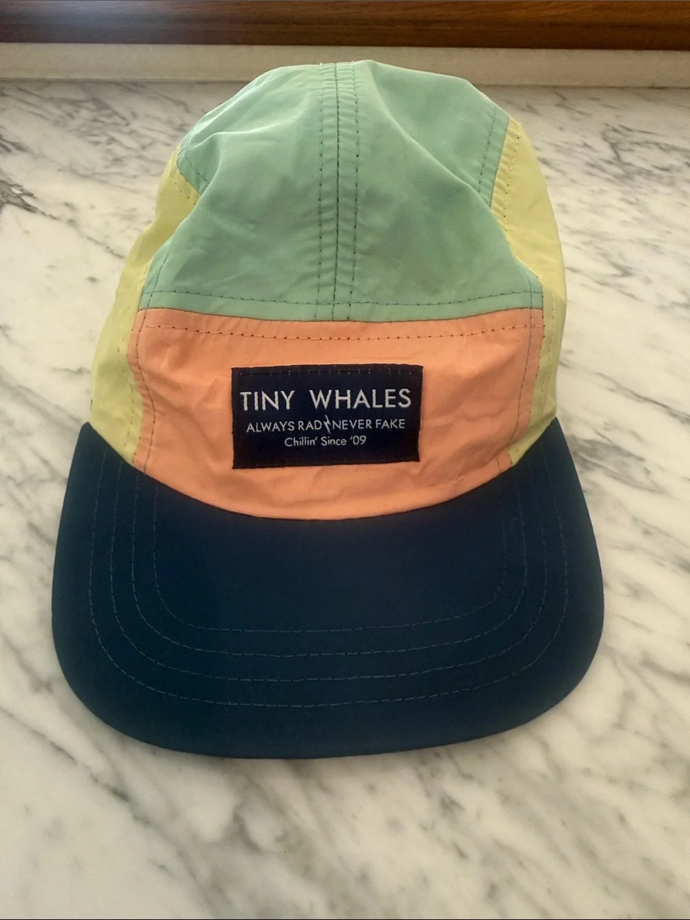 Tiny Whales Colorblock Hat